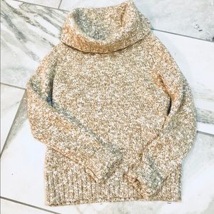 Banana Republic Turtleneck Sweater